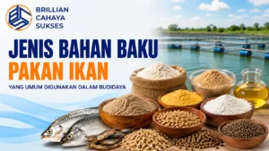 Jenis Bahan Baku Pakan Ikan yang umum digunakan dalam budidaya untuk memenuhi kebutuhan nutrisi ikan