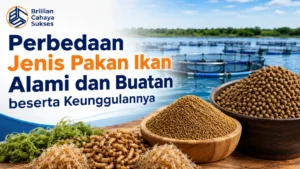 Jenis Pakan Ikan alami dan buatan beserta perbedaan serta keunggulannya untuk budidaya ikan