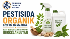 Feature image Pestisida Organik Beserta Manfaatnya bagi Budidaya Pertanian Berkelanjutan menampilkan ilustrasi produk pestisida organik berbahan alami, daun dan tanaman pertanian, serta logo Brillian Cahaya Sukses dengan latar belakang transparan.