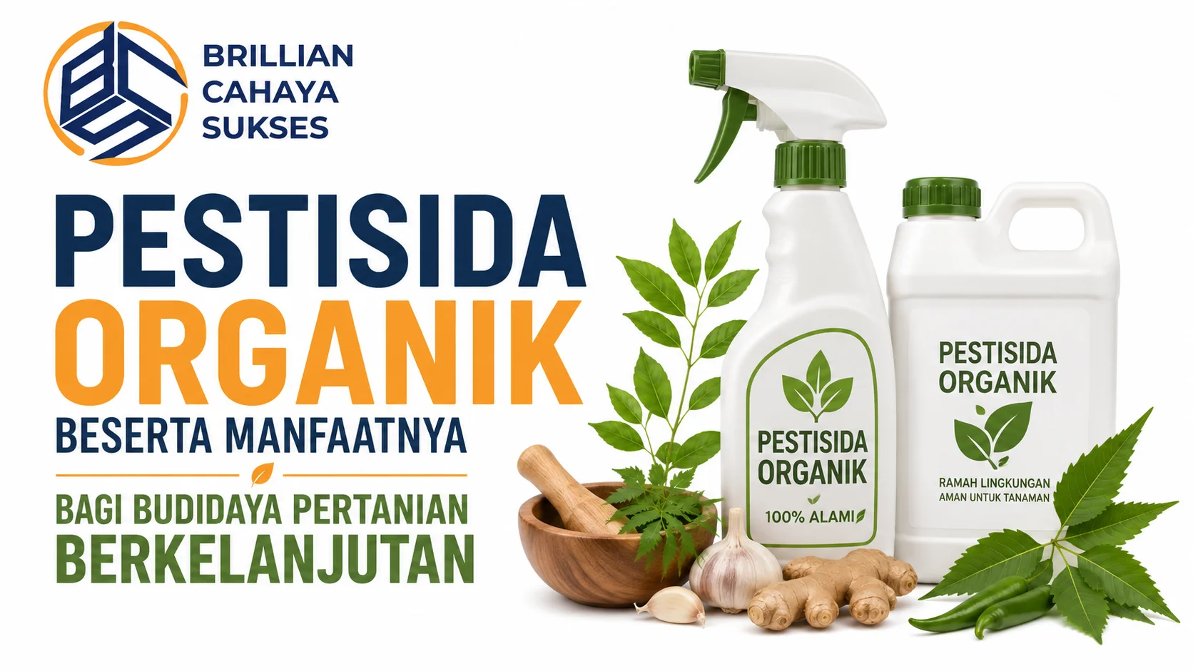Feature image Pestisida Organik Beserta Manfaatnya bagi Budidaya Pertanian Berkelanjutan menampilkan ilustrasi produk pestisida organik berbahan alami, daun dan tanaman pertanian, serta logo Brillian Cahaya Sukses dengan latar belakang transparan.